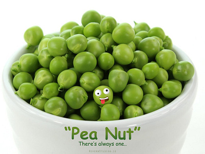 Pea Nut nutcase peanut photoshop
