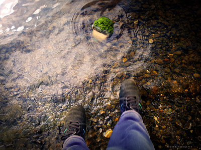 Walking On Water island walk on water