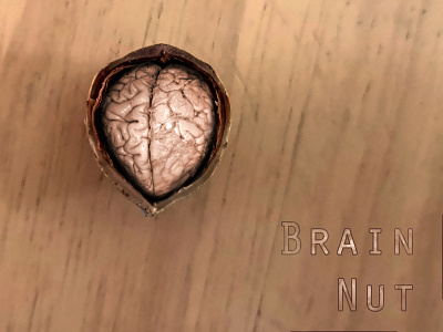 Brain Nut brain nuts photoshop walnut