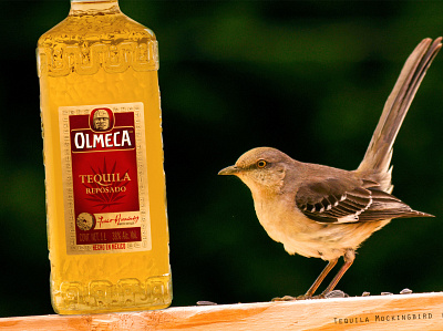Tequila Mockingbird mocking bird mockingbird olmeca photoshop tequila