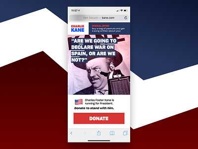 CHARLIE KANE FOR PRESIDENT design election iphone politics president retro ui ux webdesign