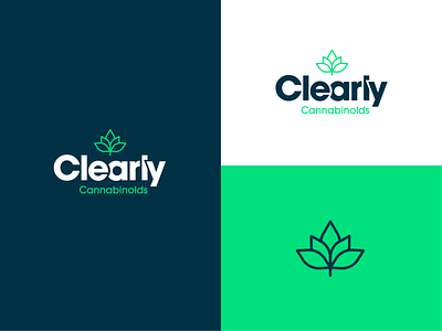 Clearly | Brand Identity brand brand design branding identity logo logo design logotype type typography