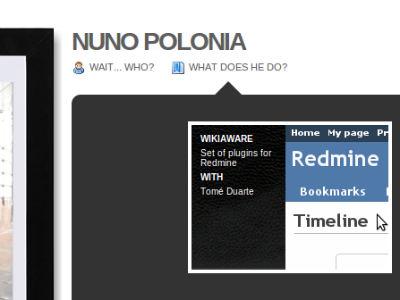 who is nunopolonia? website