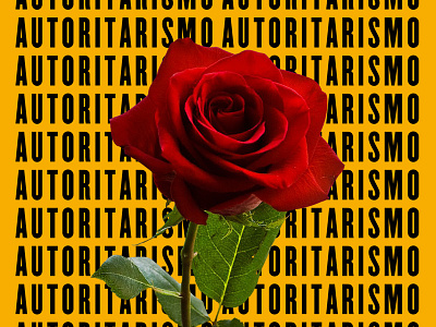 Autoritarismo & Sexualidade gun political poster red rose typography yellow