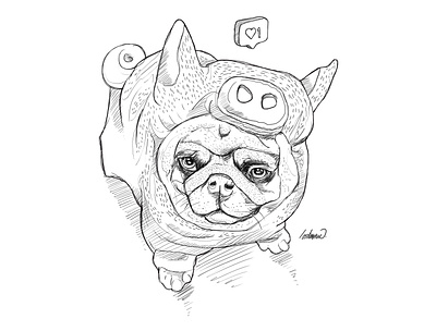 Sketch Pug animals artist cute animal cute art cute illustration design drawing dribbble illustration sketch sketches