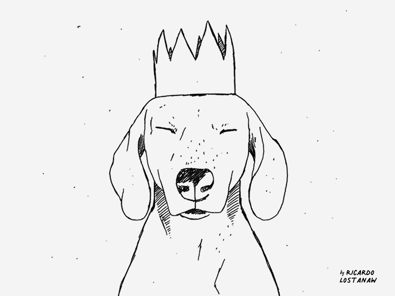 Dog Crown animals animation artist cute animal drawing dribbble gif illustration sketch