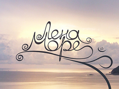 Lena Sea branding design logo typography vector