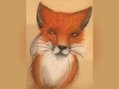 Fox animal art fox hand drawn pastel