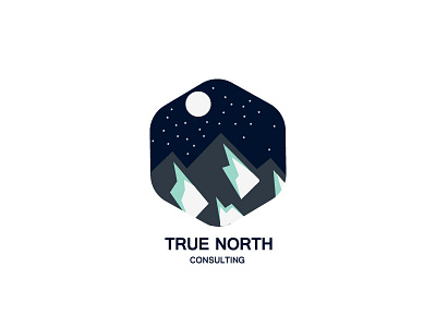 True North Consulting design flat illustration logo moon mountain night simple stars stylish unique vector