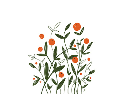 Tangerine tree children book children book illustration design editorial art flat flowers illustration illustration art procreate tree