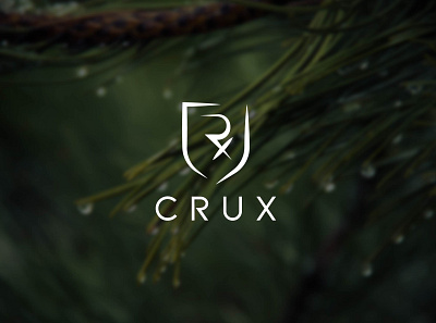 CRUX Logo branding design flat illustration logo vector