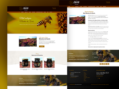 Diseño web miel montes do xurés