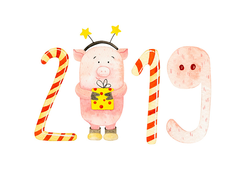 Watercolor Christmas card 2019 christmas pig watercolor 2019 типография дизайн иллюстрация