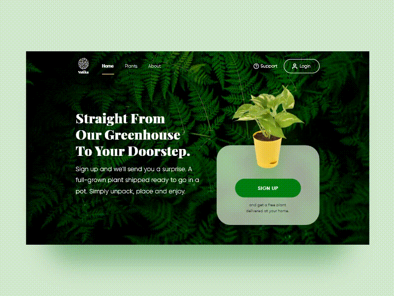 Sign Up - Vatika Plant Delivery Website 001 animation daily 100 daily ui dailyui dailyuichallenge design india minimal parallax signup ui ux web