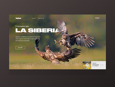Spanish Siberia One page animals dailyui design landingpage typography ui web webdesign