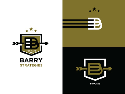 Barry Strategies arrow b badge branding crest design shield