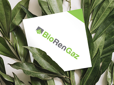 BioRenGaz bio business business card design ecology energy graphic design green identity logo vegetal