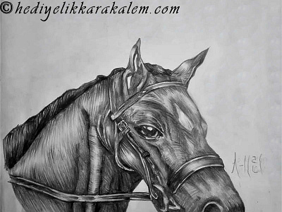 Black horse abstractart art charcoal charcoaldrawing creative draw drawings graphic graphics illustration image life love myart paintings pencildrawing pictures portrait realism sketching