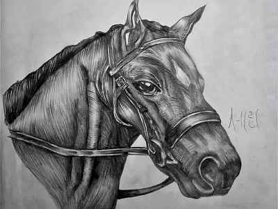 Black Horse Drawing | Sketching | Karakalem abstractart art charcoal charcoaldrawing creative draw drawings graphic graphics illustration image life love myart paintings pencildrawing pictures portrait realism sketching