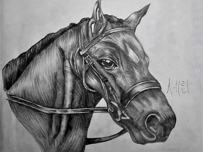 Black Horse Drawing | Sketching | Karakalem