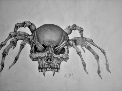 Spider Drawing | Sketching | Karakalem