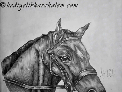 BLACK HORSE Drawing | Sketching | Karakalem abstractart art charcoal charcoaldrawing creative draw drawings graphic graphics illustration image life love myart paintings pencildrawing pictures portrait realism sketching