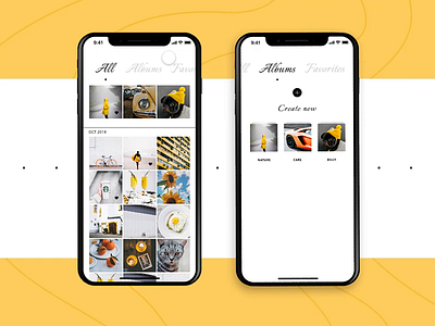 Photo Album App interface animation ios motion design photo app photo catalogue ux ui xd