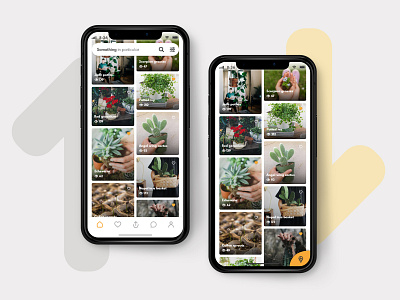 Anspot home navigation and FAB app card community design design app fab giveaway home app interaction iphone x location app masonry navigation bar plants scroll search box tabs ui ux ux ui design