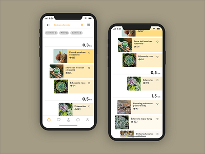 Anspot Search app card community design design app explore filters giveaway iphone x location app nearby off centre picture plants search search bar tagging ui ux ux ui design