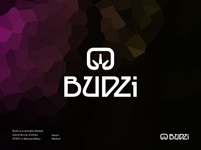 Budzi branding design graphic design logo vector