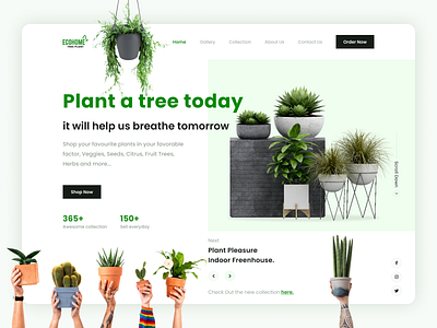 Landing Page - Plant Shop 3d adobe xd branding design figma graphic design illustration logo typography ui