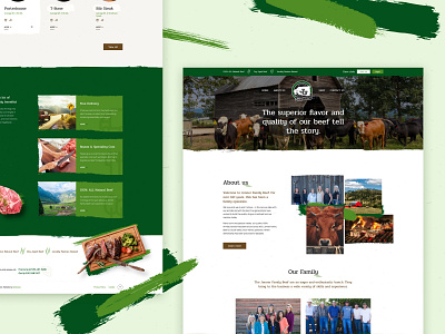 Jenner Family Beef beef design landing page poland ui uidesign ux web webdesign website