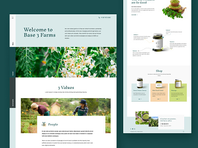 Base 3 Farms farm farmer landing page moringa poland seahawk media ui web website