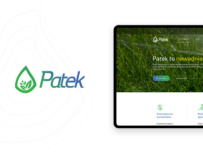 Patek - responsive website design icon poland stylo typography ui ux web website