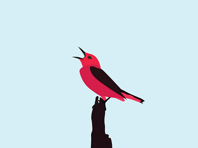 Bird 2d character bird art illustration