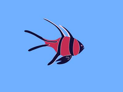 Fish Illustration