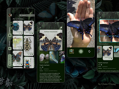 Insect Library App butterfly insect insects mobile mobile ui ui design uidesign