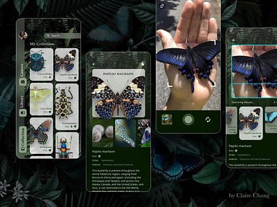 Insect Library App