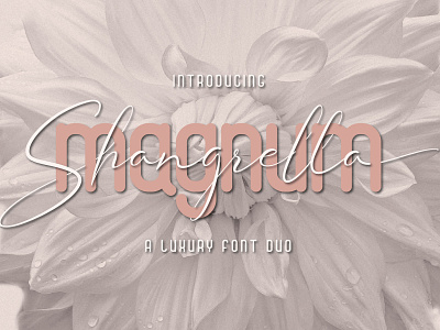 Magnum Shangrella Font Duo