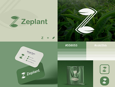 Letter Z Leaf Logo Concept bold branding color creative design flower garden graphic design green identity illustration leaf lettering logo logo design logos plant pot vector z logo