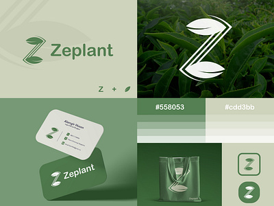 Letter Z Leaf Logo Concept