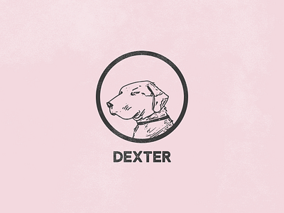 My dog dexter