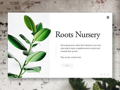 Plant Experiments commerce desktop fern flat fun gradient illustration minimal plant ui ux website