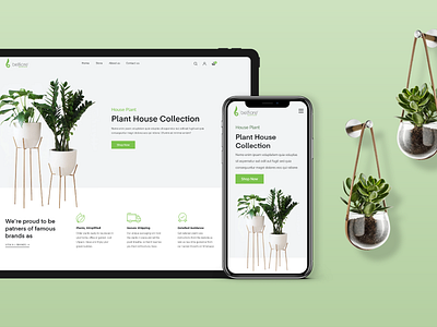 Plant house collection web & mobile view design