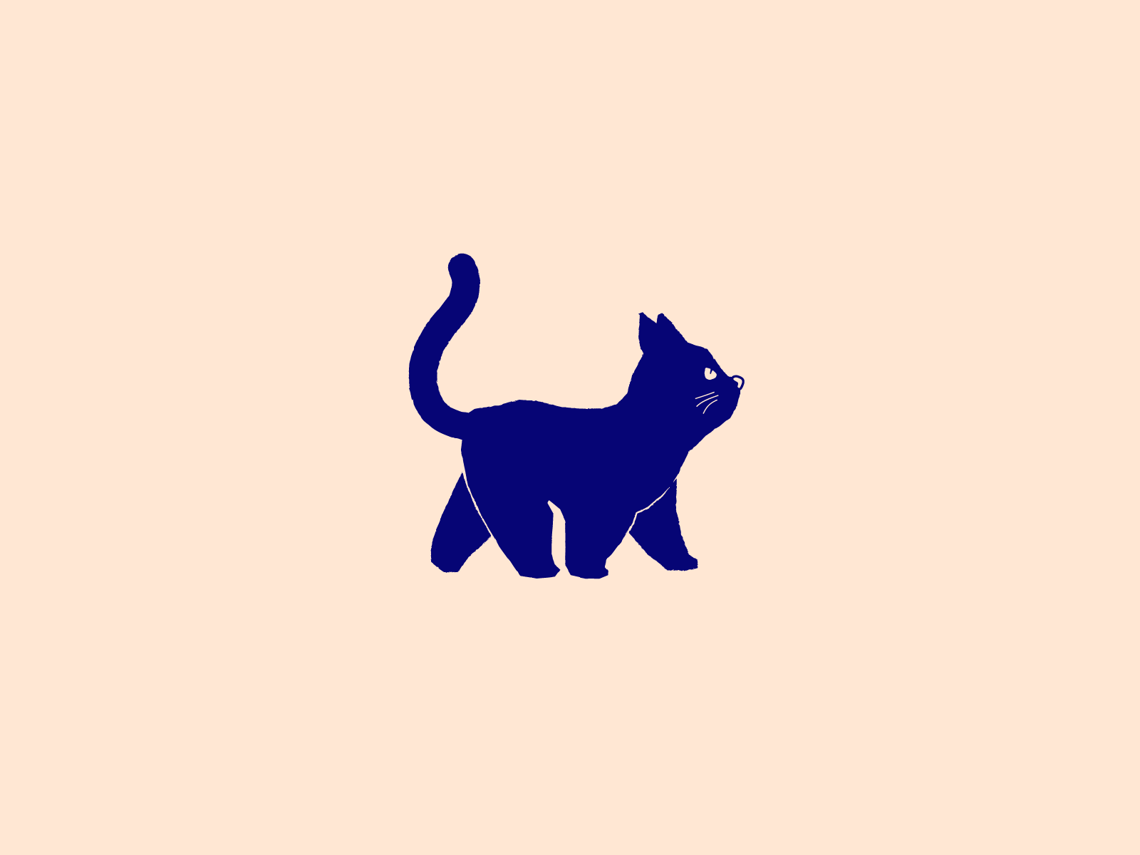 Django the Cat animated gif animation cat design drawing illustration illustrator walk weekly warm up