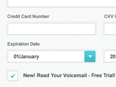 Signup Form Fields checkmark combobox fields form inset label pulldown signup teal text
