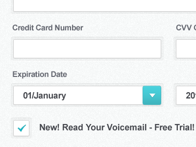 Signup Form Fields