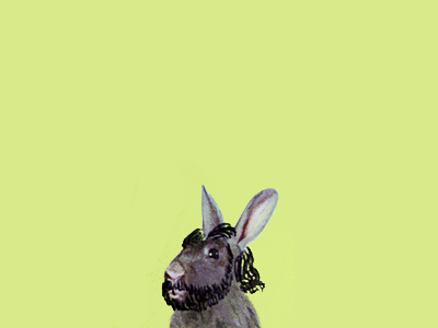 Avatar - Bunny Me avatar beard bunny