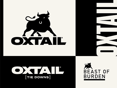 Oxtail branding bull. ox design icon illustration lettering logo typography