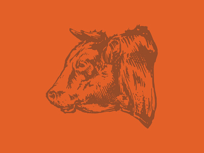 Bull Sketch beef branding bull drawing icon illustration logo sketching